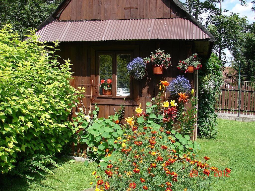 Modrzew Zakopane Exterior foto